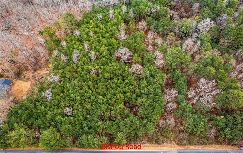 7000 Bishop Road Property Photo 5