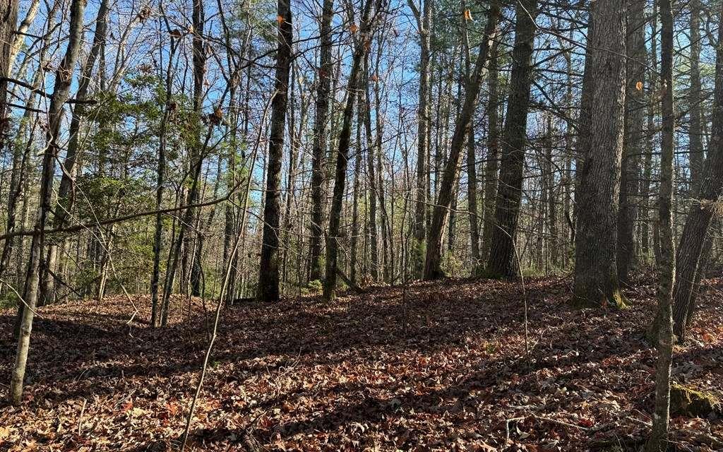 0 Mill Creek Acres Property Photo 1