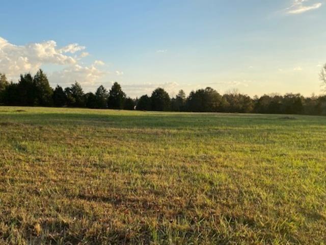 732 New Hope Property Photo 3
