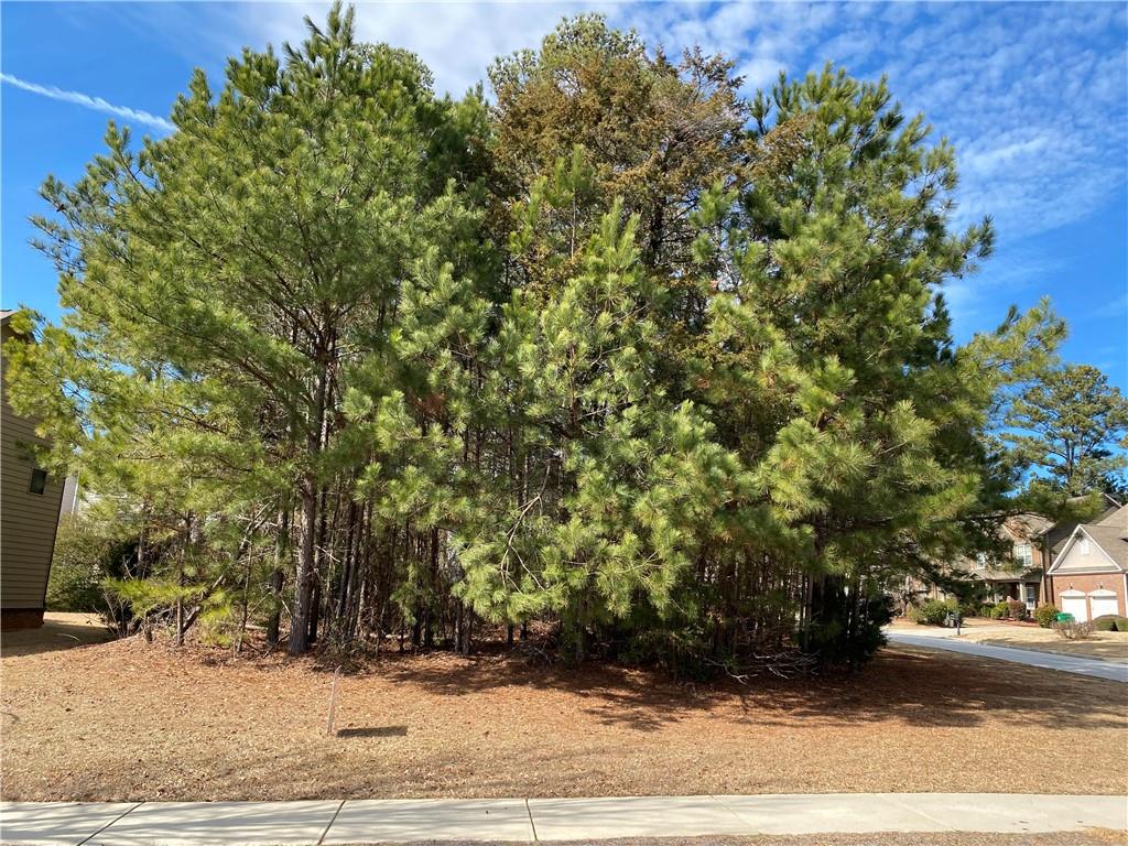 3299 Dogwood Pass Property Photo 1