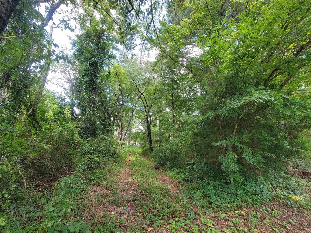 0 Calhoun Road Ne Property Photo 4