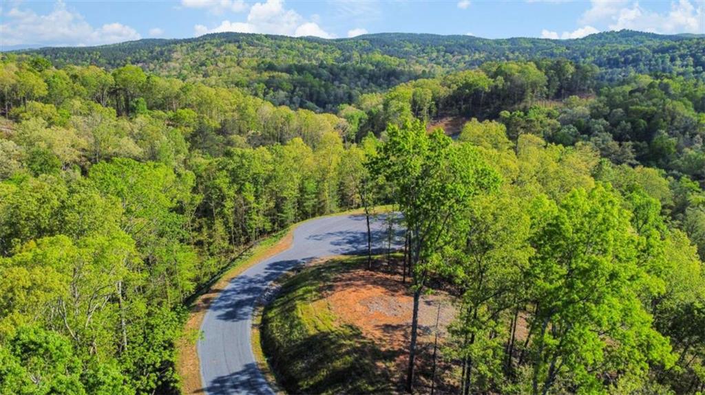 Lt 274 Canoe Way Property Photo 3