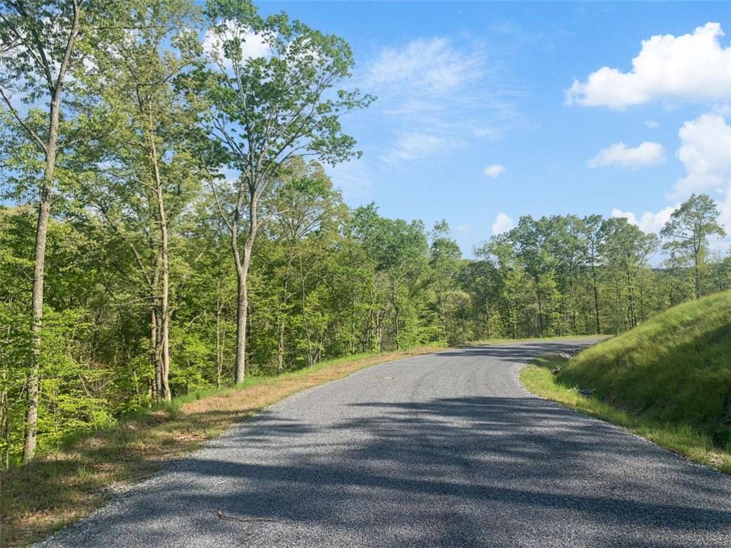 Lt 274 Canoe Way Property Photo 21