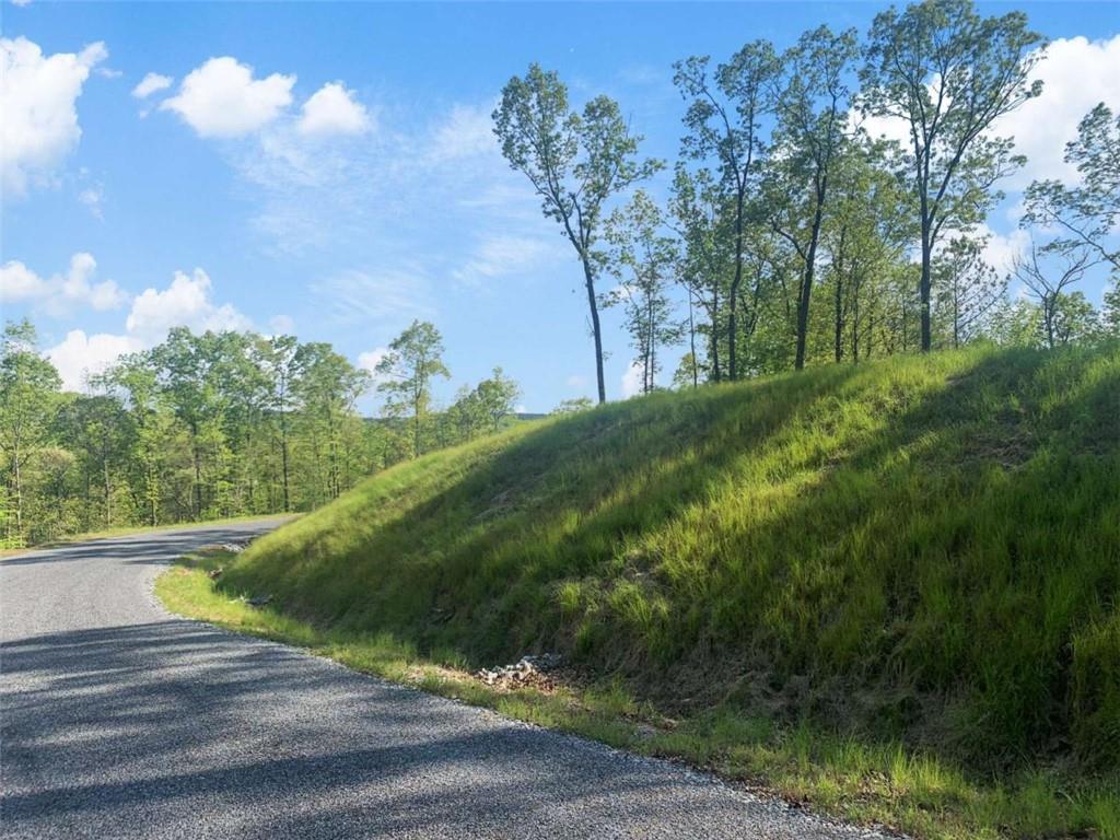 Lt 274 Canoe Way Property Photo 22