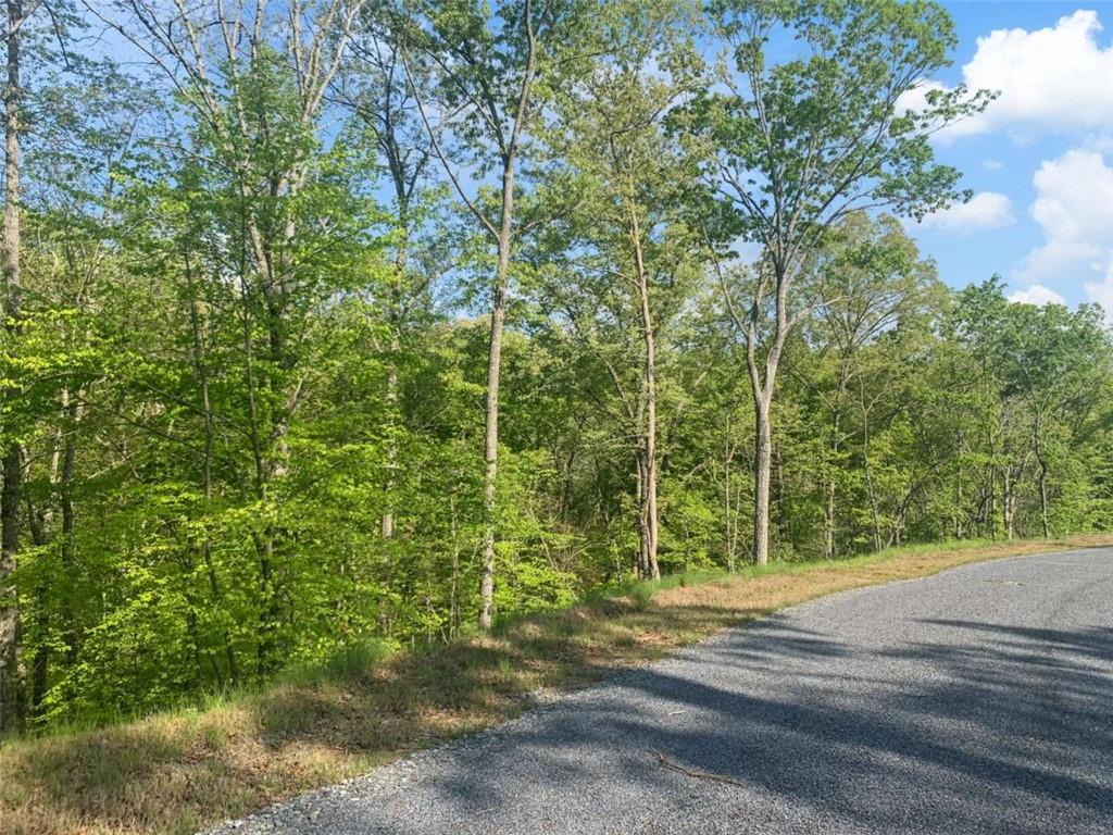 Lt 274 Canoe Way Property Photo 23