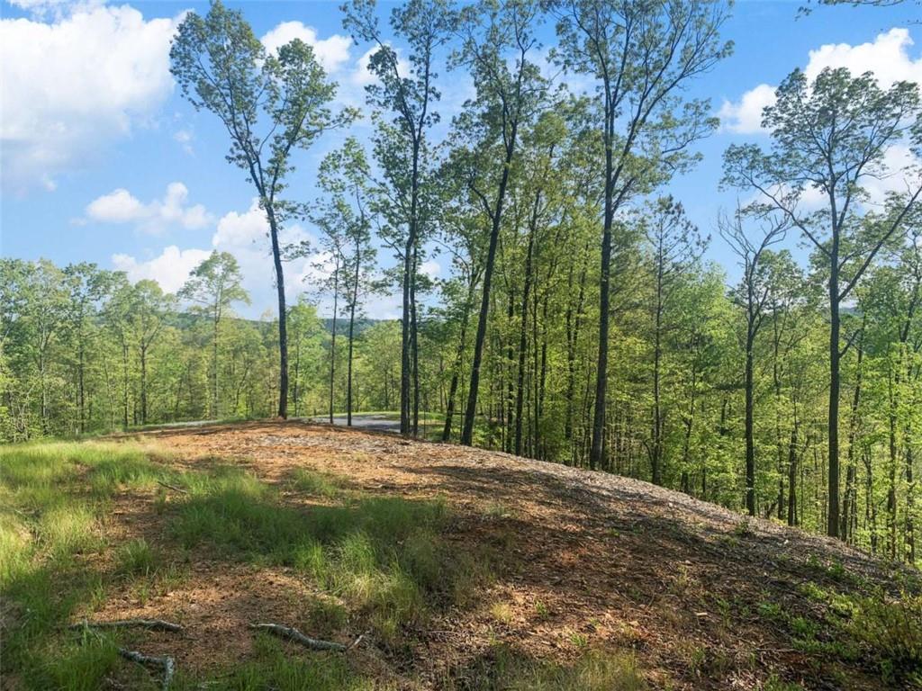 Lt 274 Canoe Way Property Photo 24