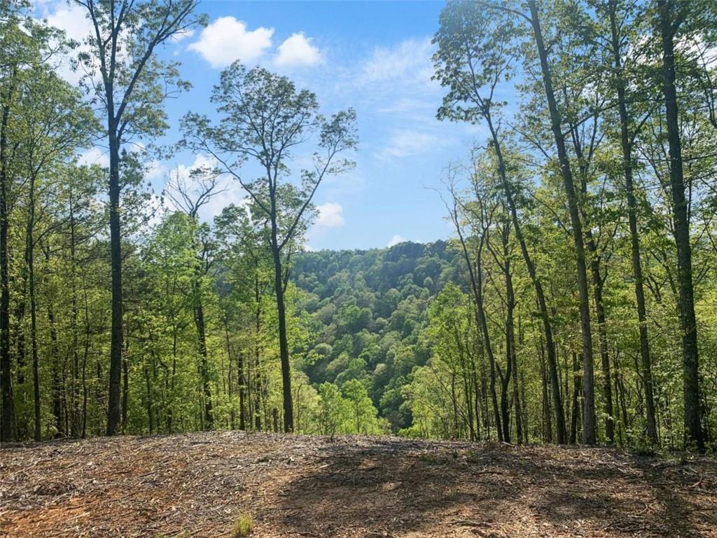 Lt 274 Canoe Way Property Photo 26