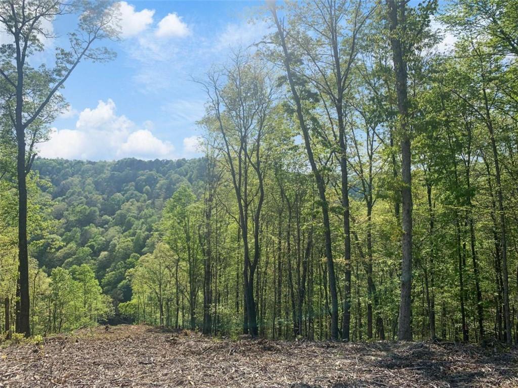 Lt 274 Canoe Way Property Photo 27