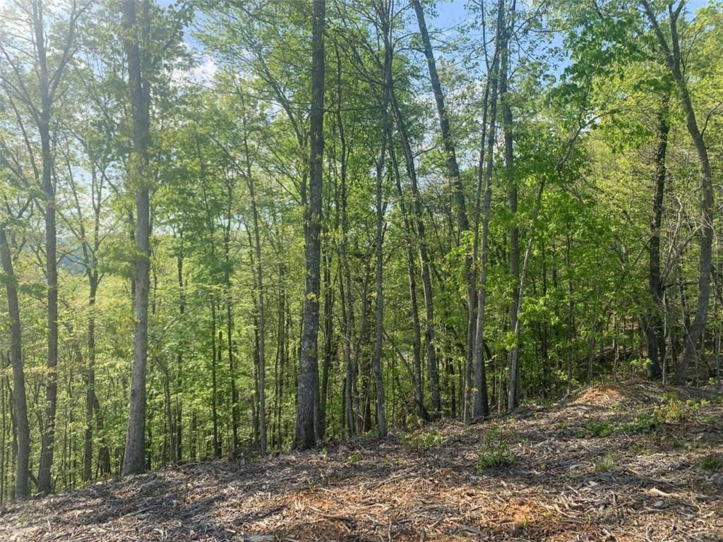Lt 274 Canoe Way Property Photo 28