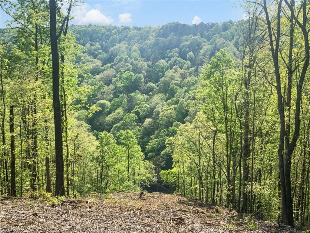 Lt 274 Canoe Way Property Photo 29