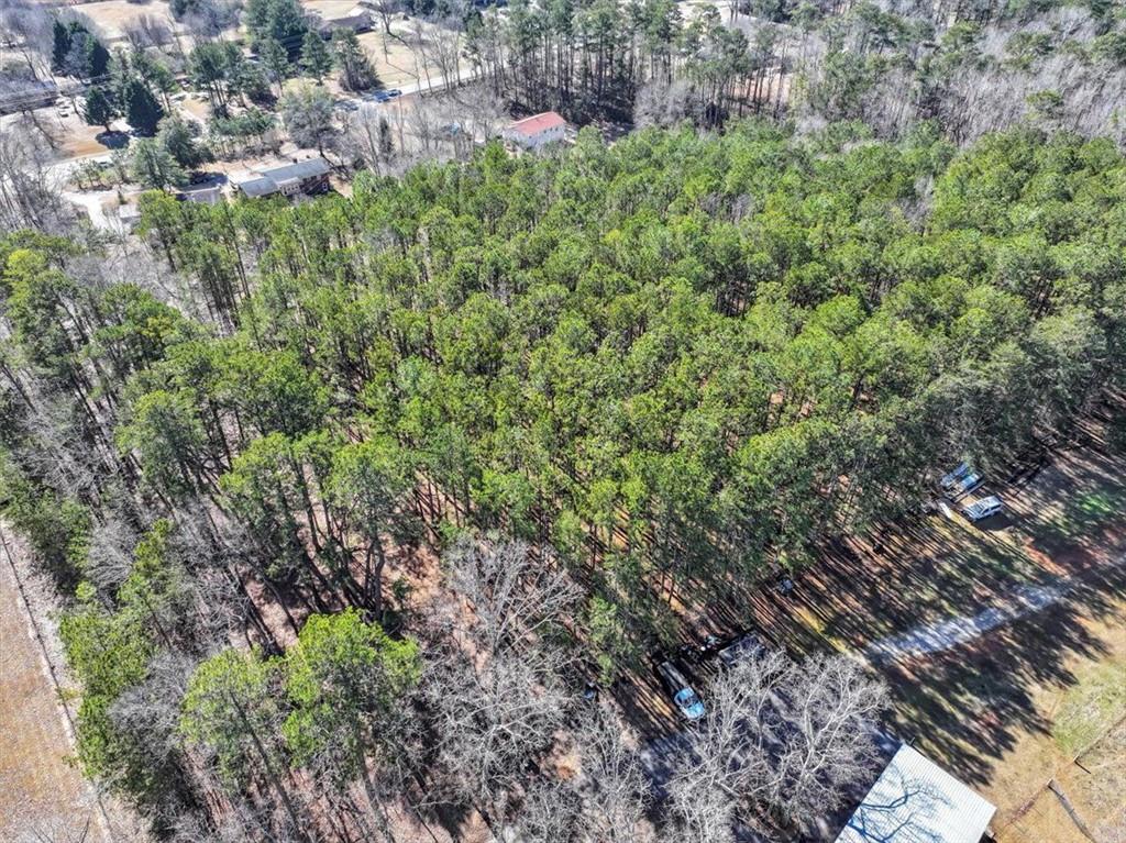 1891 Highway 81 E Property Photo 19