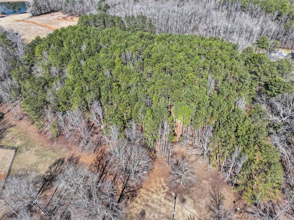 1891 Highway 81 E Property Photo 21