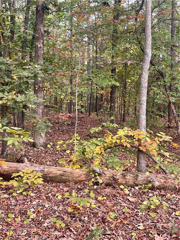 41 Foxfire Lane Property Photo 2