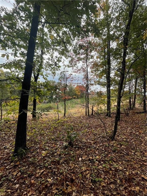 41 Foxfire Lane Property Photo 3