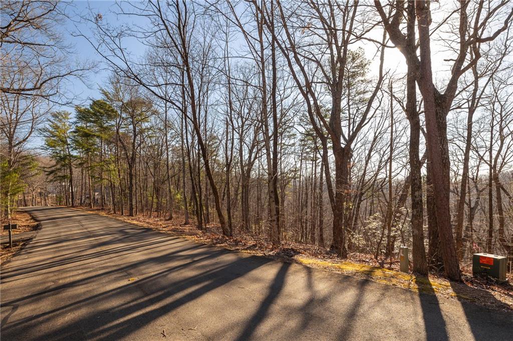0 Outback Ridge Trail Property Photo 10