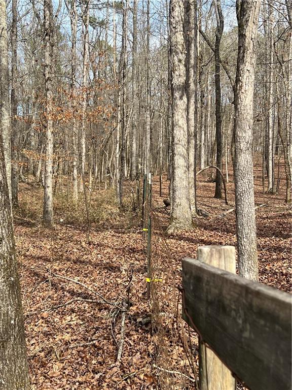 325 Everett Springs Road Ne Property Photo 2