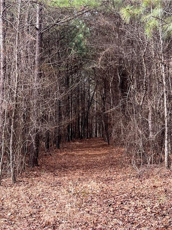 325 Everett Springs Road Ne Property Photo 5