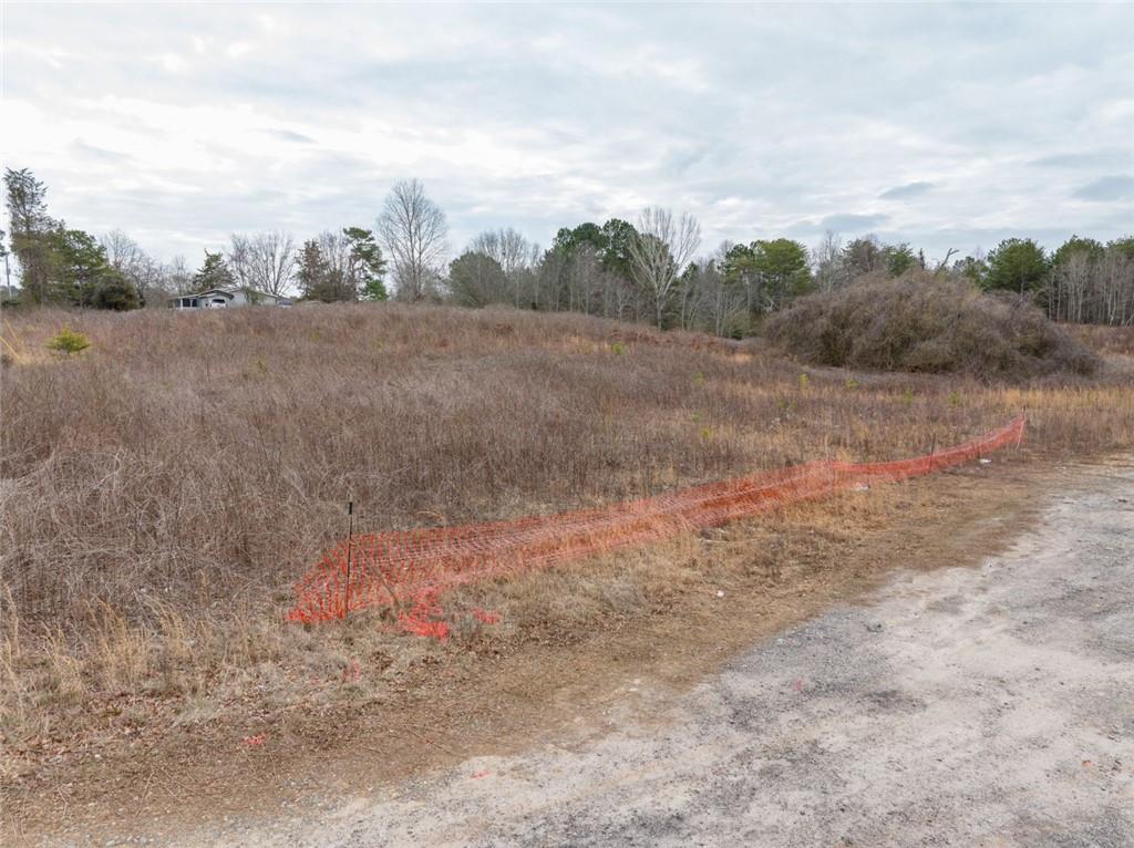0 Cornelia Highway Property Photo 39
