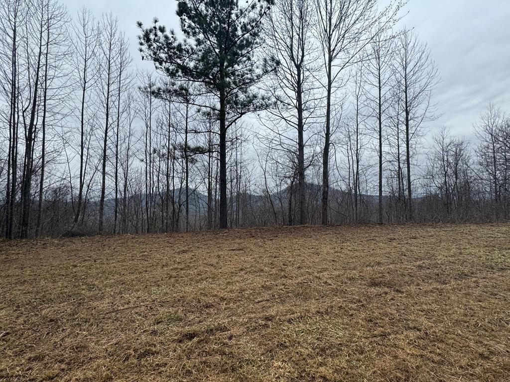 Lot 10 Chatuge Manor Property Photo 1