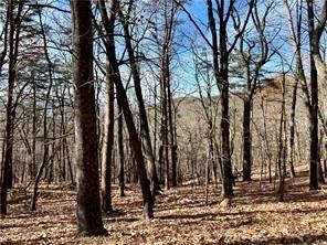 1520 Moss Patch Trail Property Photo 1