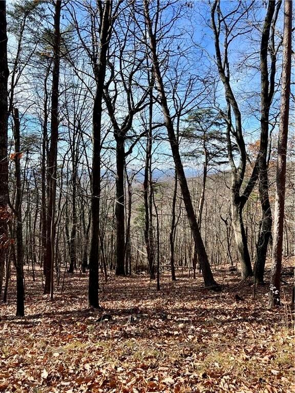 1520 Moss Patch Trail Property Photo 2