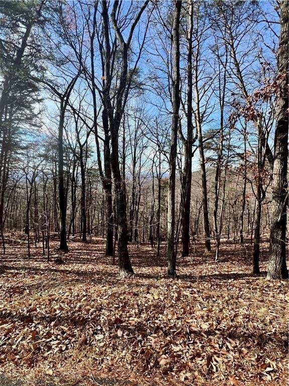 1520 Moss Patch Trail Property Photo 3