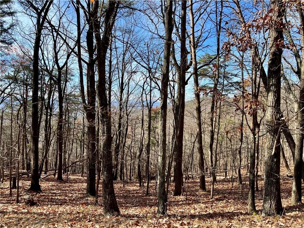 1520 Moss Patch Trail Property Photo 4