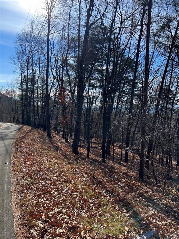 1520 Moss Patch Trail Property Photo 5