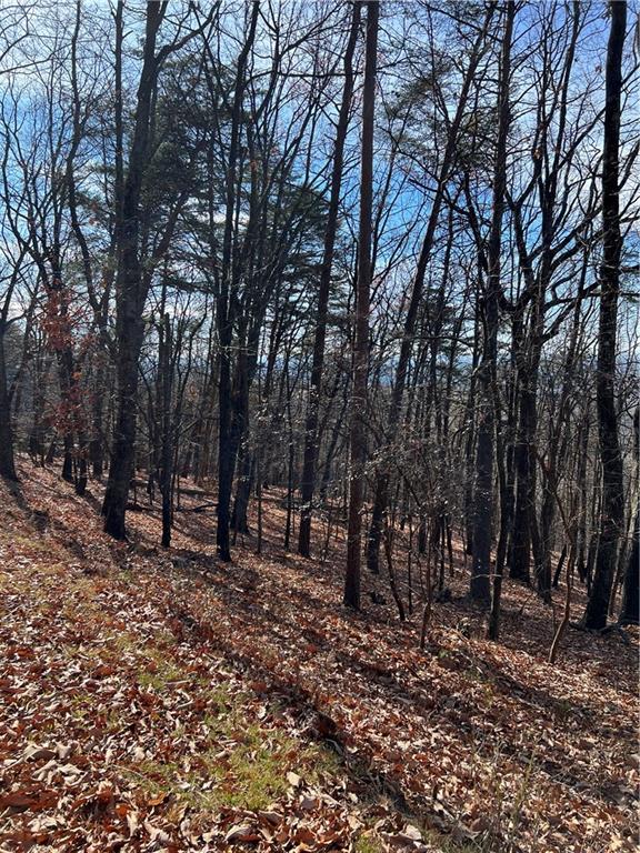 1520 Moss Patch Trail Property Photo 6