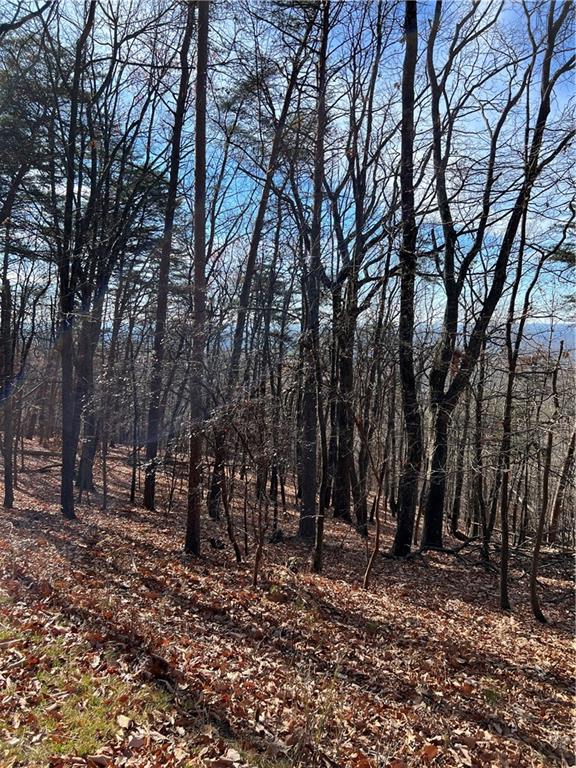 1520 Moss Patch Trail Property Photo 7