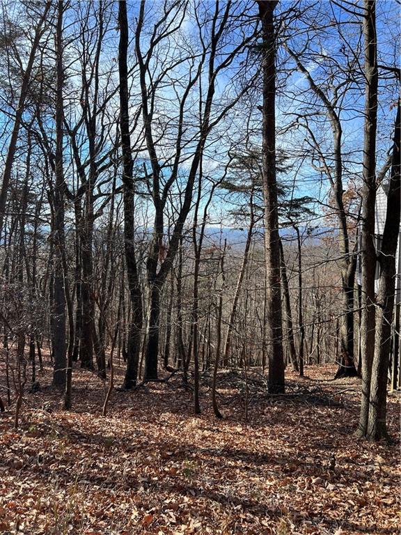 1520 Moss Patch Trail Property Photo 8