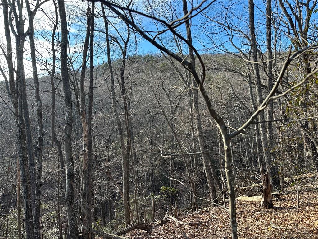 Lt1141 Oglethorpe Mountain Road Property Photo 1