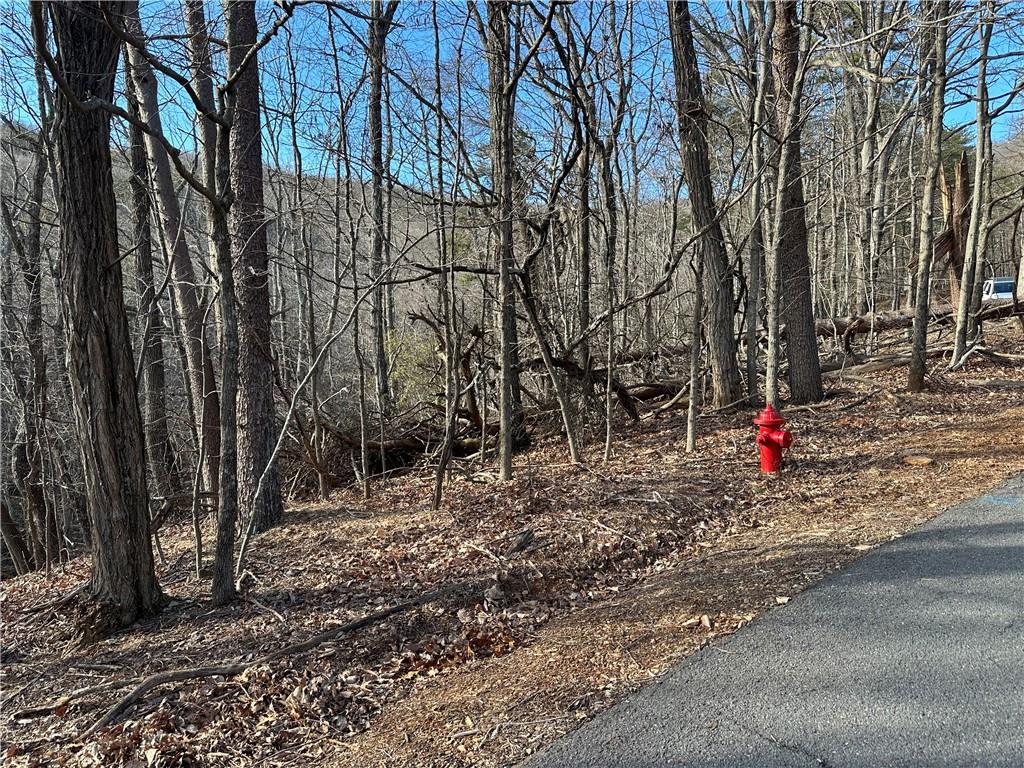 Lt1141 Oglethorpe Mountain Road Property Photo 2