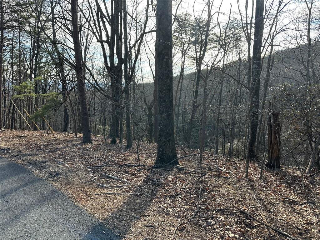 Lt1141 Oglethorpe Mountain Road Property Photo 3