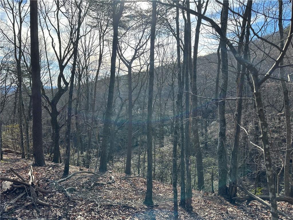 Lt1141 Oglethorpe Mountain Road Property Photo 4