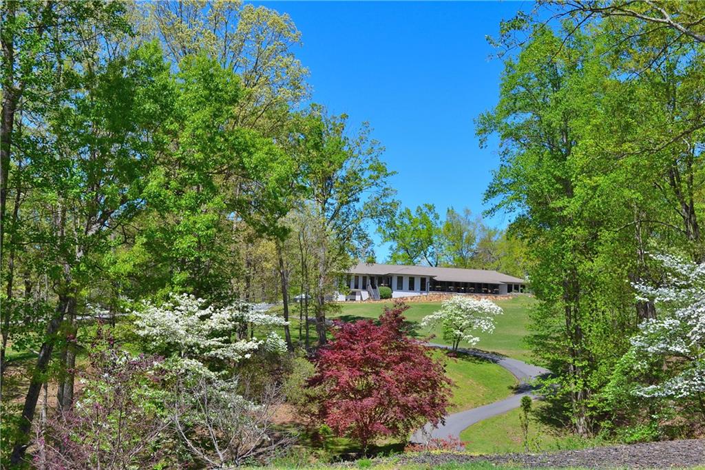 Lt1141 Oglethorpe Mountain Road Property Photo 9