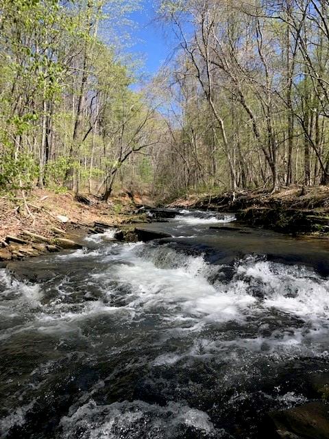 Lt1141 Oglethorpe Mountain Road Property Photo 25