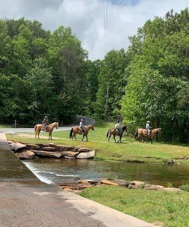 Lt1141 Oglethorpe Mountain Road Property Photo 29