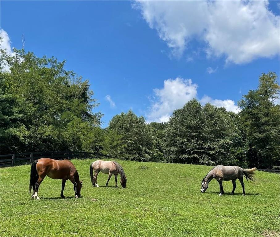 Lt1141 Oglethorpe Mountain Road Property Photo 30