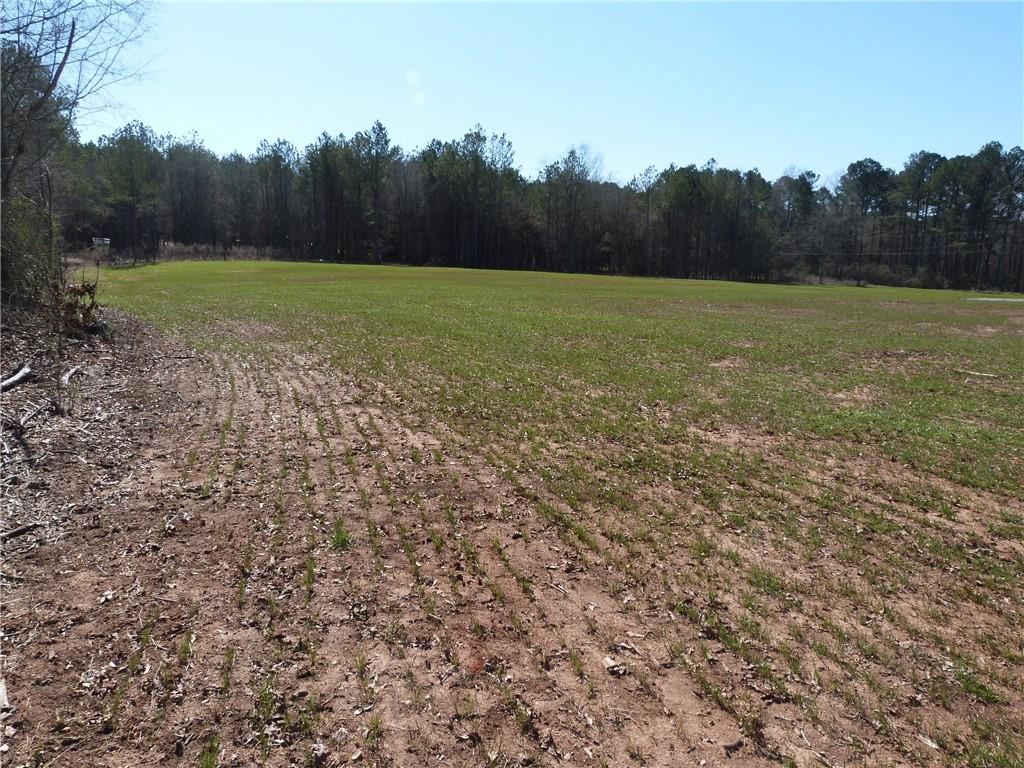 0 Hwy 186 Property Photo 3