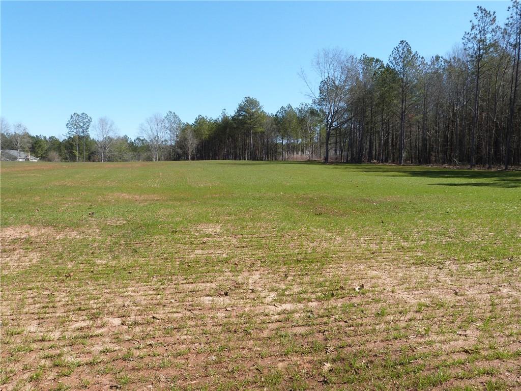 0 Hwy 186 Property Photo 11