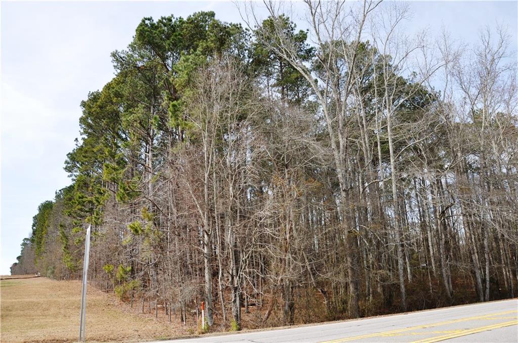 0 Monroe Highway Property Photo 4