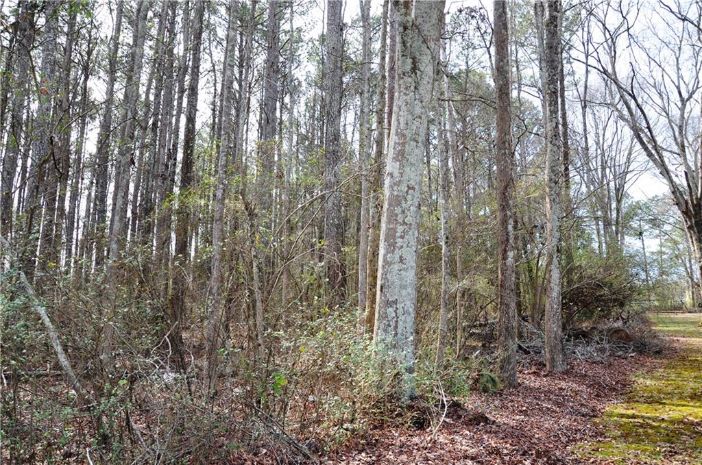 0 Monroe Highway Property Photo 10