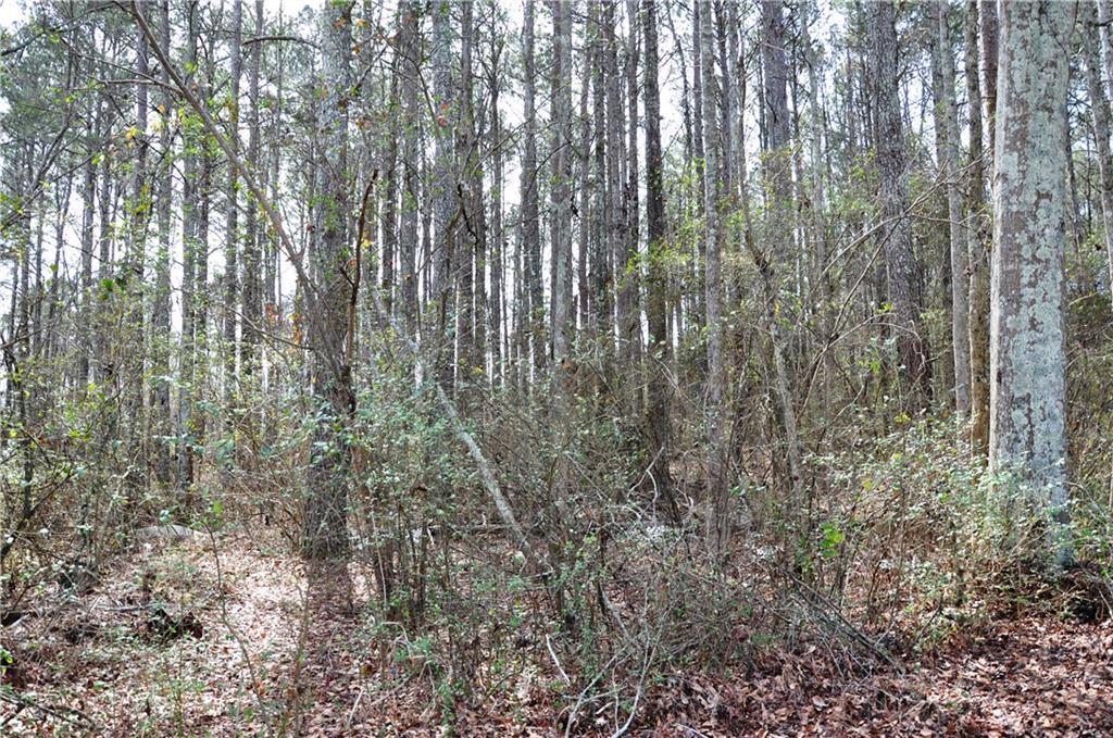 0 Monroe Highway Property Photo 11