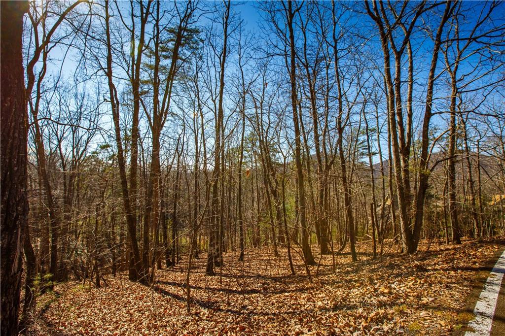 2784 Summit Drive Property Photo 7
