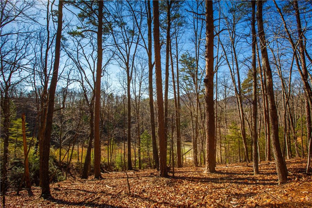 2784 Summit Drive Property Photo 10