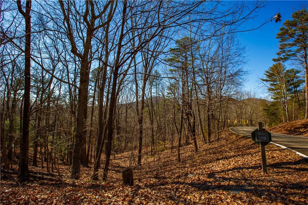 2784 Summit Drive Property Photo 12