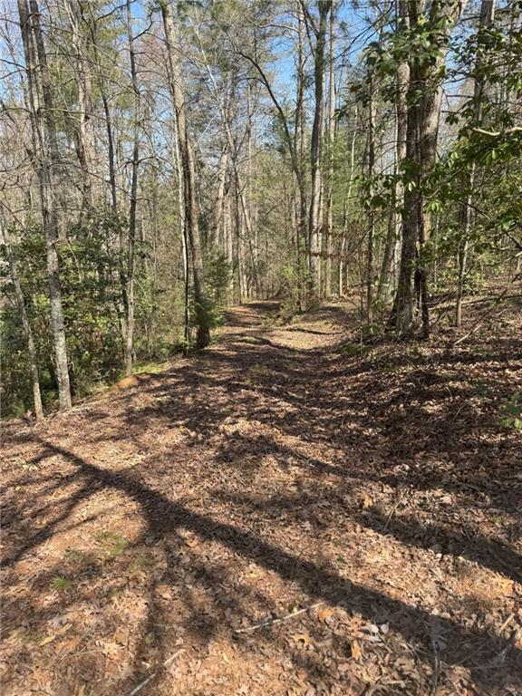 0 Bartox Drive Property Photo 25