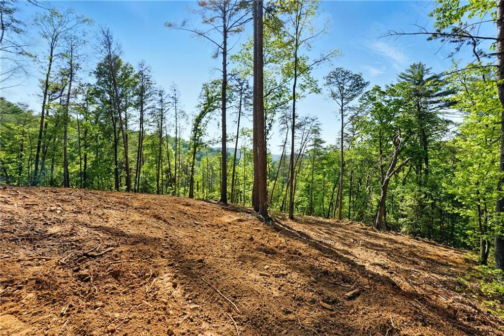 0 Dell Moore Road Property Photo 1