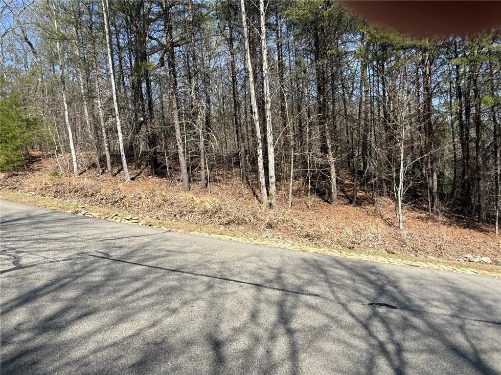 28 Sharp Mountain Court Property Photo 4